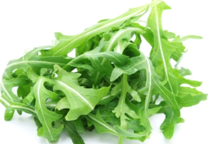 Rucola este recomandată şi în dietele de slăbit FOTO:sanatate.acasa.ro