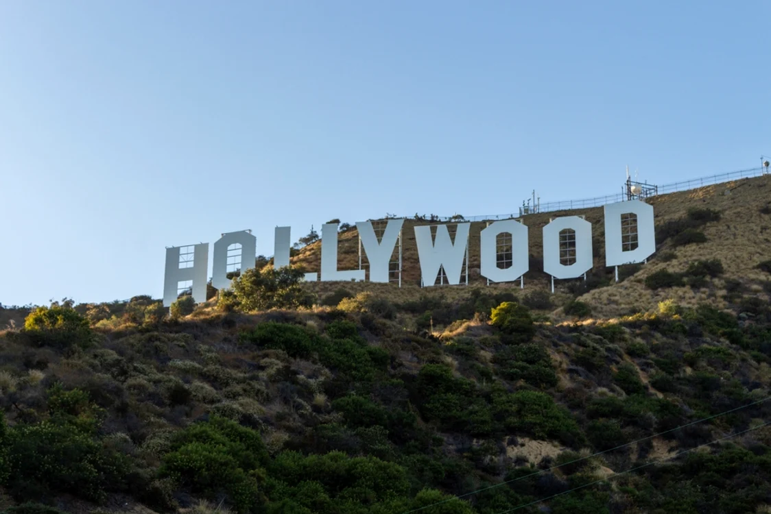 Zona Los Angeles a fost puternic afectată de incendii de vegetație FOTO SHUTTERSTOCK