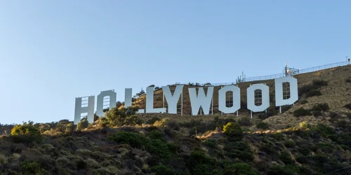 shutterstock 2262544747 (1) jpg