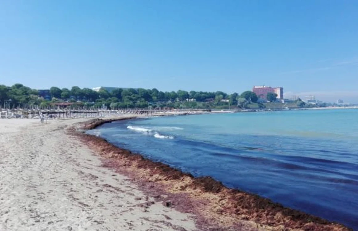 Utilaje care curăţă plajele FOTO