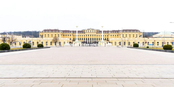 cluj austria viena siegfried