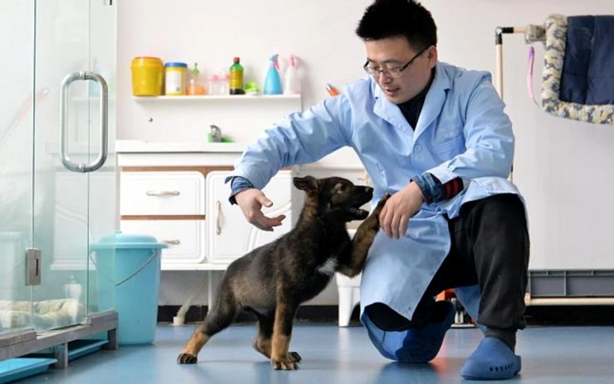 FOTO: Hong Xing/China Daily via Reuters