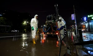 558358001 1284188700419708 301082423803481205 n jpg