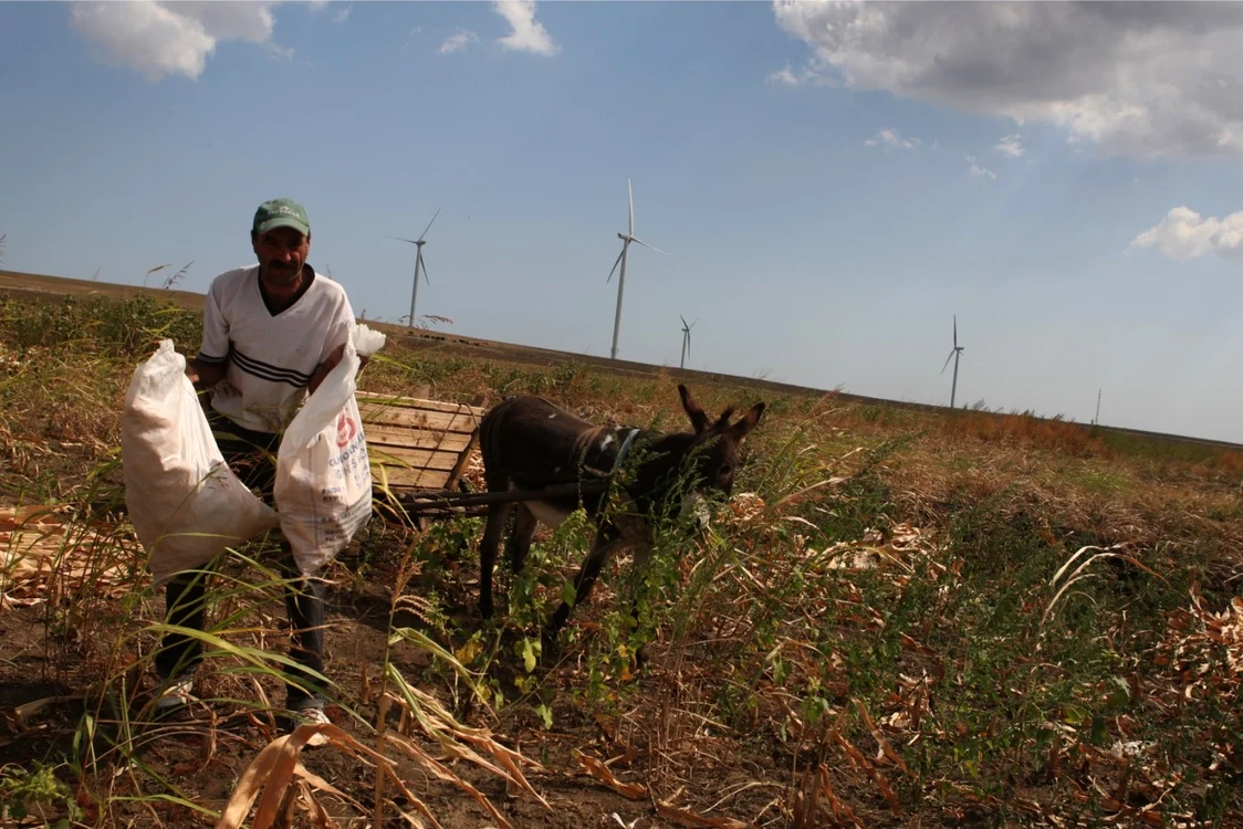 Eoliene au împânzit Dobrogea