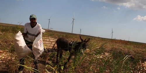 Eolienele din Dobrogea