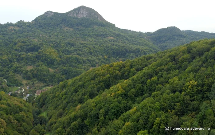 Bulzul de la Bulzești. Foto: Daniel Guță. ADEVĂRUL