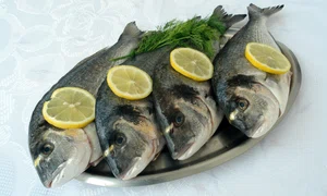 2 peste shutterstock 2680590 jpg jpeg