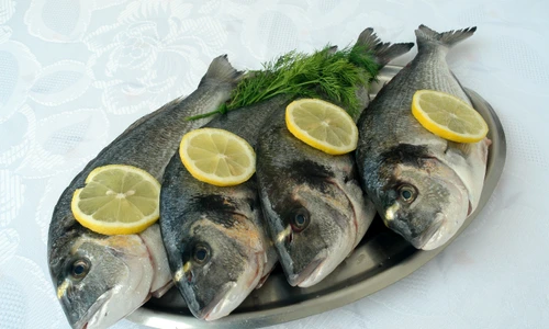 2 peste shutterstock 2680590 jpg jpeg