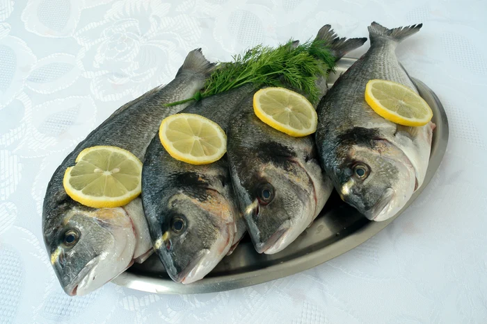 2 peste shutterstock 2680590 jpg jpeg