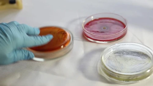 1 71324 original jpg jpeg