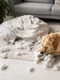 cute dog playing with toilet paper high angle jpg