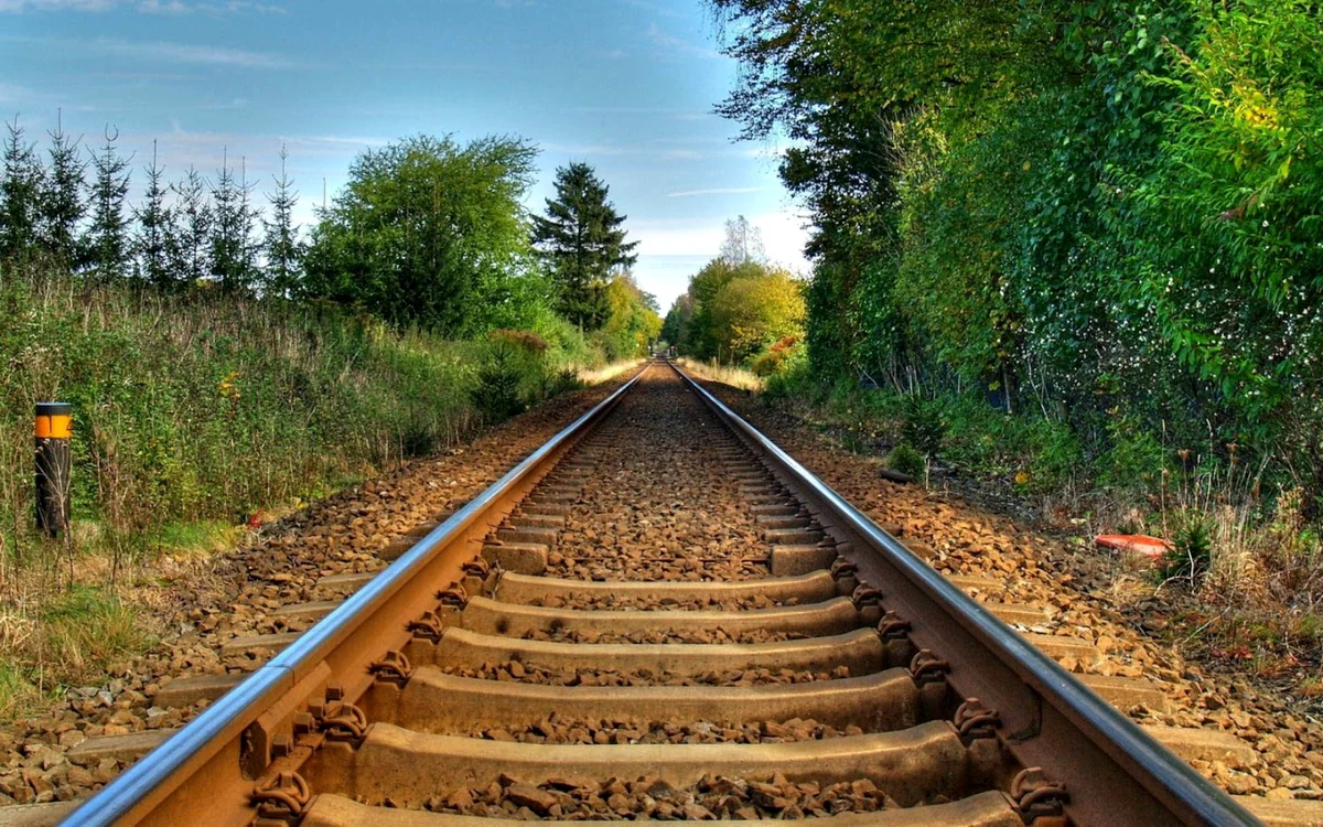 
    Fata a scăpat ca prin minune de o moarte cumplită  