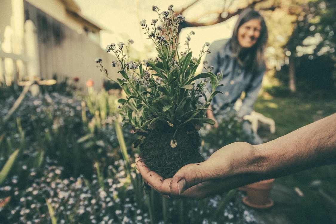 
    Horoscop zilnic 25 mai 2020: Leii trebuie să se ocupe de casăfoto: Pixabay  