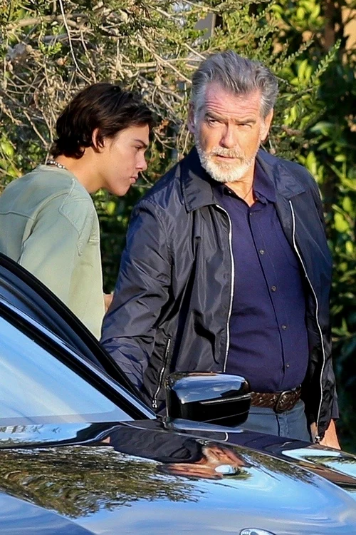 9 pierce brosnan profimedia 0426475962 jpg jpeg