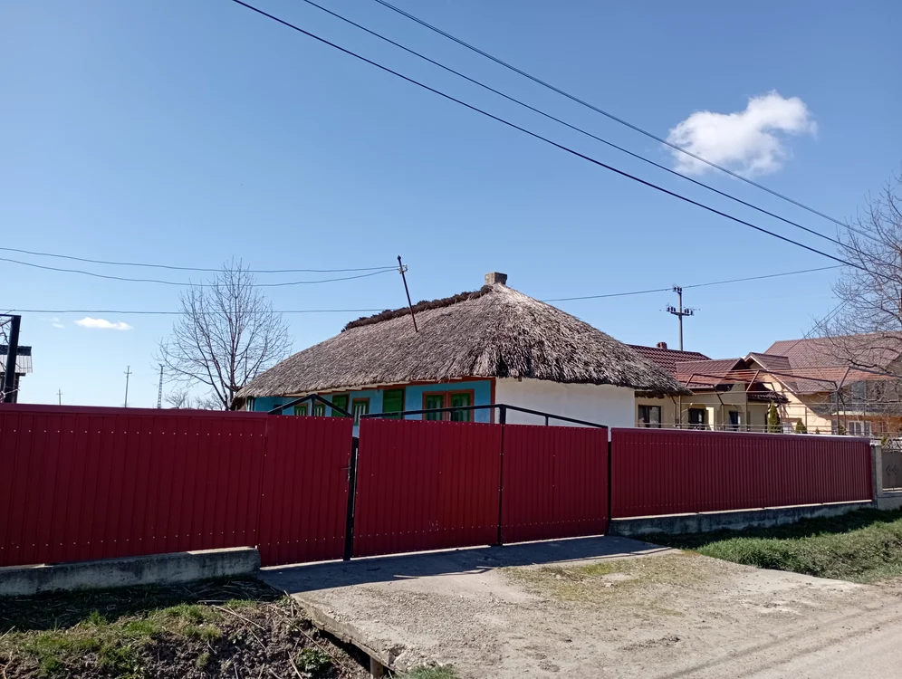 La Ibănești mai trăiesc ultimii meșteri stufari FOTO Cosmin Zamfirache