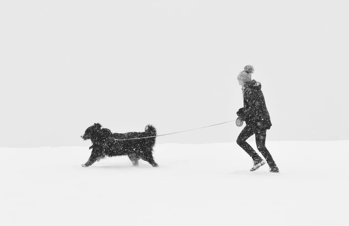 Ianuarie 2023 a fost cea mai caldă lună de iarnă din ultimii 60 de ani. FOTO: Pexel