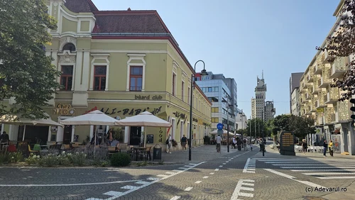 Satu Mare Foto Daniel Guță ADEVĂRUL (2) jpg