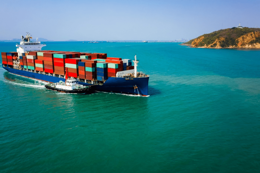 UE înăsprește regulile de bunăstare a animalelor pe durata transportului maritim