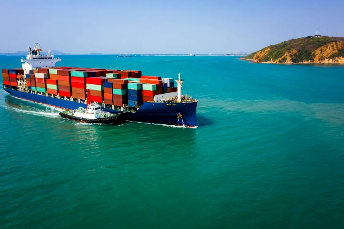Noi reguli privind transportul maritim al animalelor / Foto: Shutterstock
