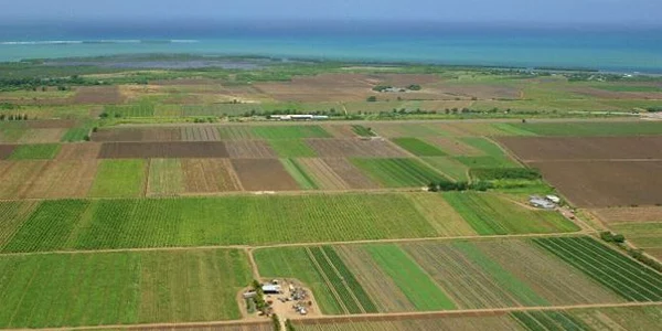 Chiar dacă prețurile terenurilor agricole s-au dublat în ultimii trei ani, acestea sunt mici în comparație cu alte țări din UE