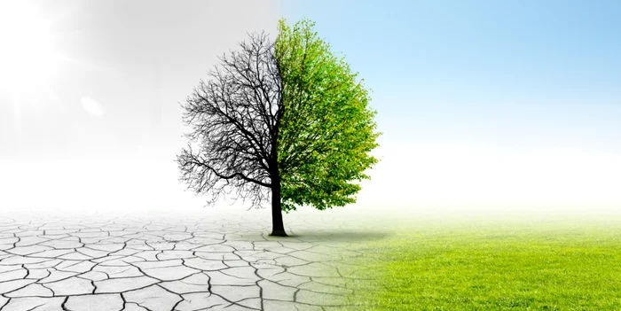 Horoscop 1 mai 2021: Scorpionii trec printr-un proces de schimbareFoto: Shutterstock