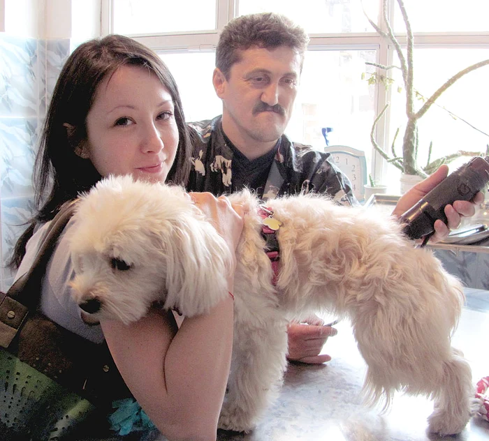 Cristina speră ca, prin tunderea căţelului, să-l protejeze de atacul căpuşelor