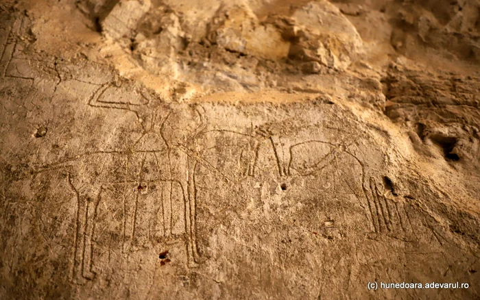 Graffiti medieval. Foto: Daniel Guță