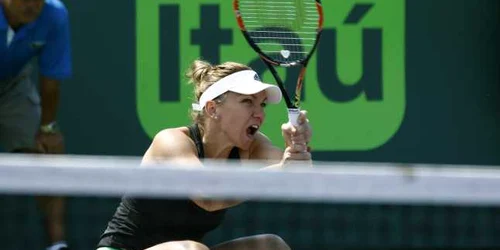 Halep