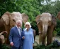 Regele Charles și Regina Camilla la Balul Animalelor, Foto Getty