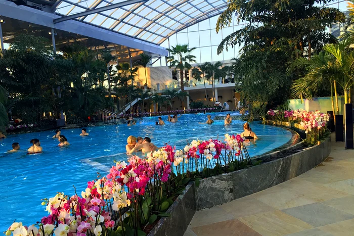 Herbarium Therme București Foto Arhiva Adevărul