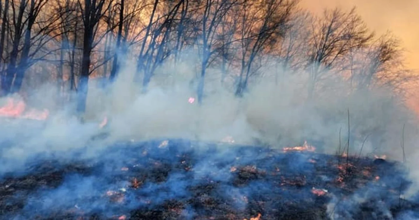 incendii padure isu hunedoara