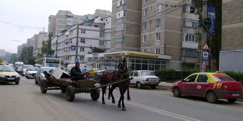 Căruţă prin oraş