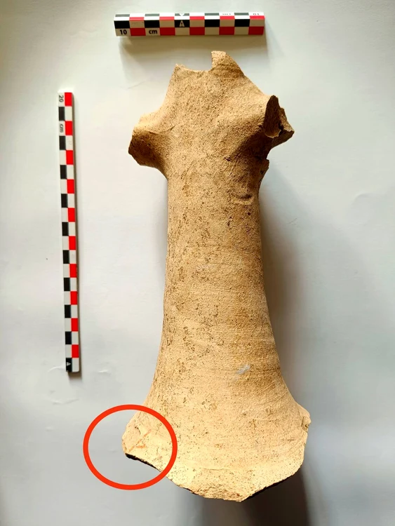 Foto: © Facebook / Vasile Diaconu – archaeologist