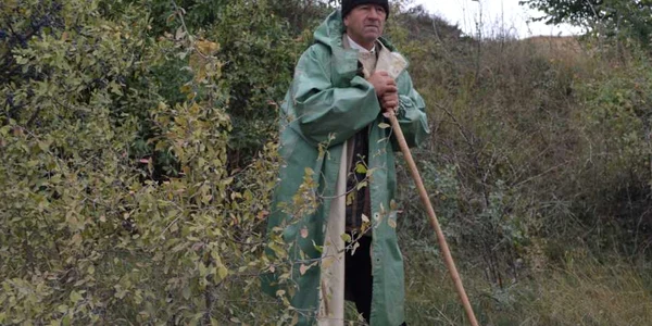 violator negresti constantin ciocan