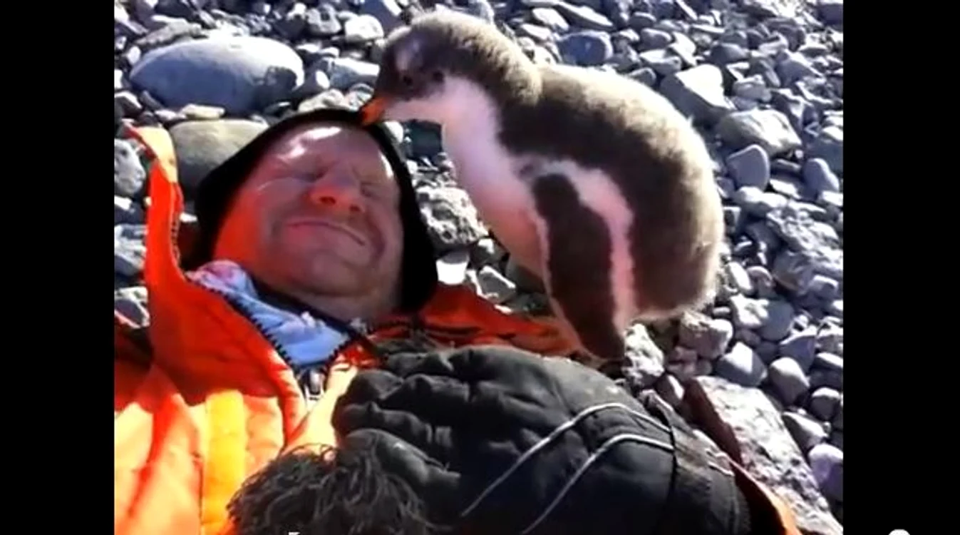 
    Omul şi pinguinul  