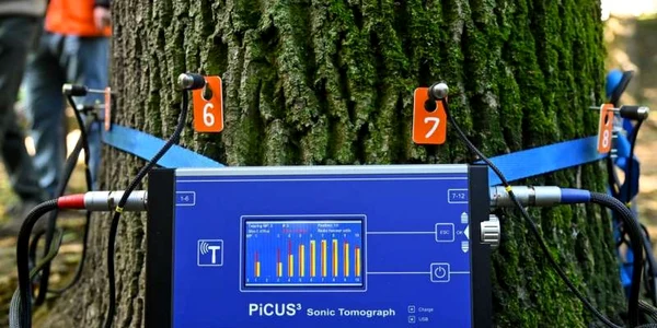 Aşa arată tomograful pentru copaci de la Sibiu FOTO Primăria Sibiu