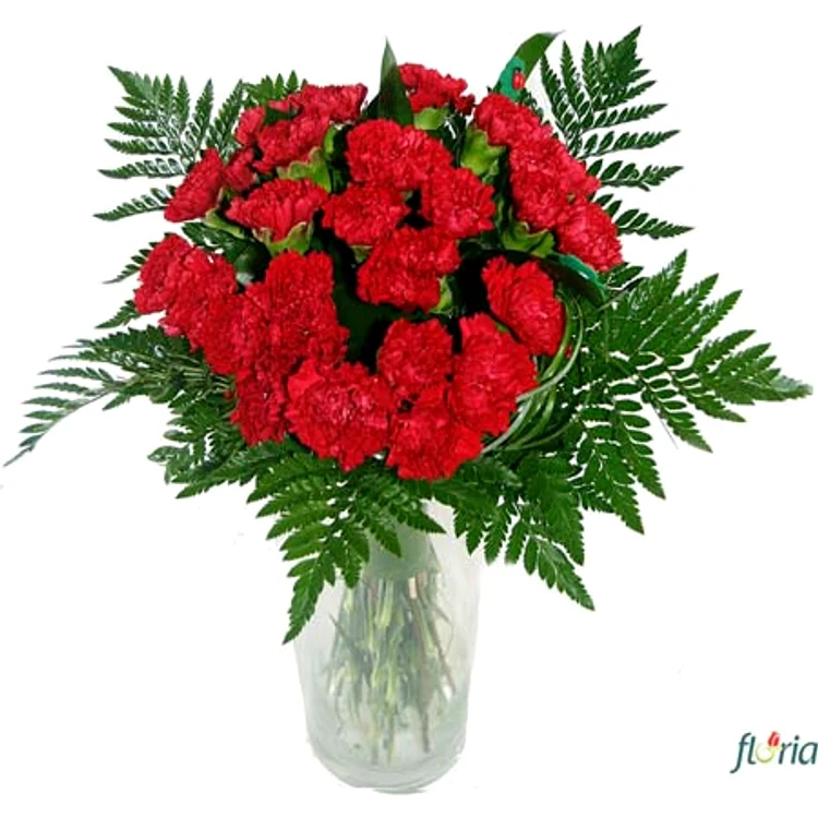 
    Buchet de garoafe  