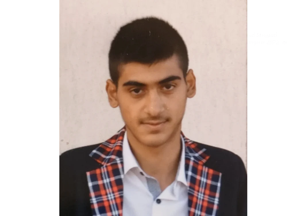 disparut olt geantă mircea