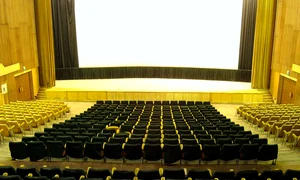Despre cinematografie la Parlament jpeg