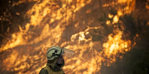 Incendiu Spania EPA