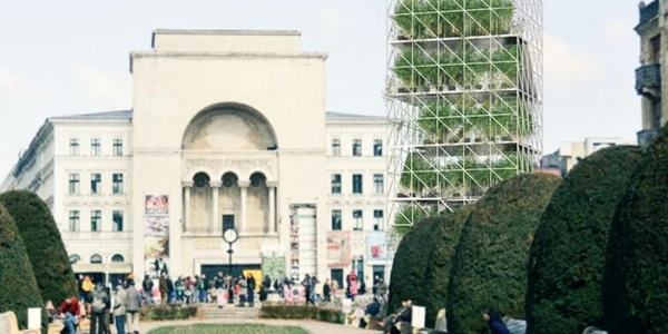 Pepinieră în centrul Timișoarei FOTO OAR Timișoara