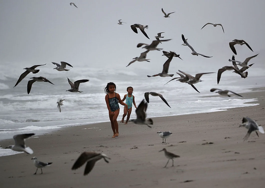 
    Un bărbat îşi plimbă câinele pe o plajă din Floridafoto: Guliver/Getty Images  