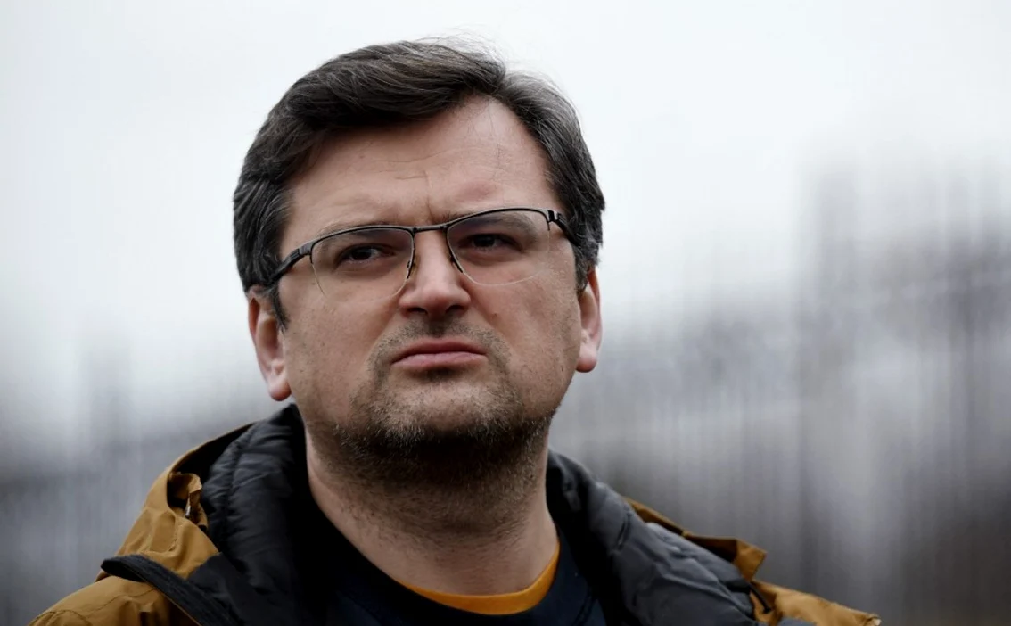 Dmitro Kuleba susține că Ucraina își va continua contraofensiva. FOTO AFP