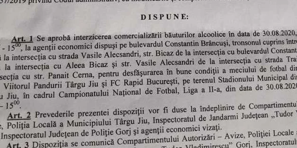 targu jiu 