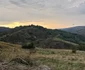 Drumul Bunila Vadu Dobrii Tinutul Pădurenilor Foto Daniel Guță ADEVĂRUL (11) jpg