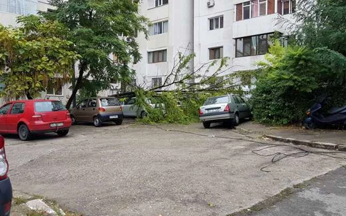 Copac doborât de furtună şi căzut peste o maşină la Galaţi FOTO grupul şoferilor din Galaţi