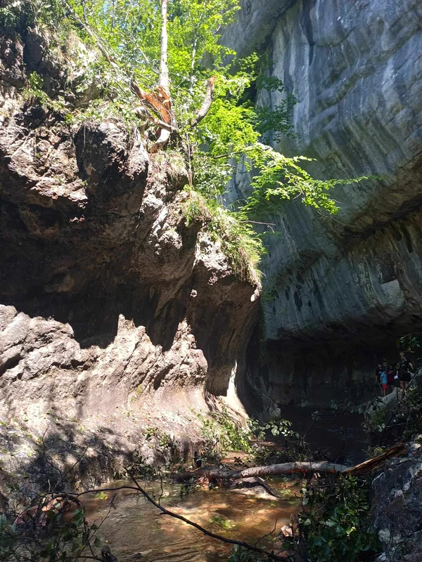 Cheile Banitei Foto Parcul Natural Gradistea Muncelului Cioclovina (2) jpg