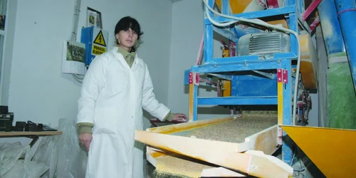 Alina Ţipoş munceşte la moară, făcând cu schimbul cu soţul ei