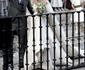 Wedding of Lady Charlotte And Alejandro Santo Domingo Spain jpeg