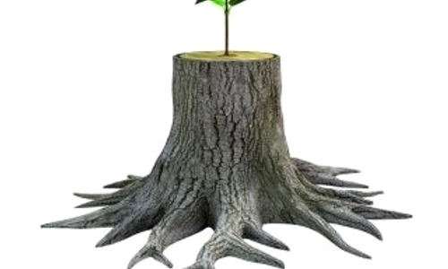 1 53862 original jpg jpeg